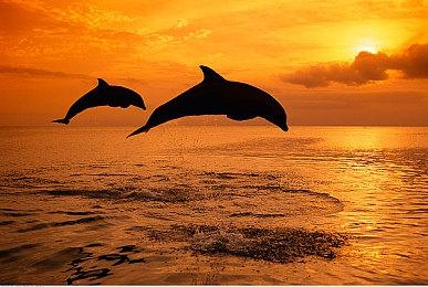 PS5主机固件更新后 带来全新关机动画效果展示